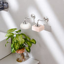 Saboneteira Magnética Moderna e Elegante