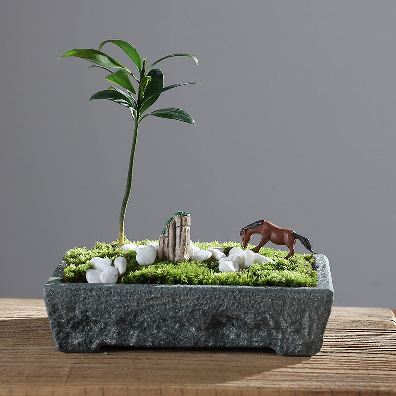 Vaso de Pedra Natural Granito – Elegância para Plantas e Decoração